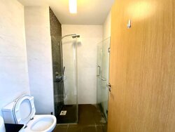 Loft @ Holland (D10), Apartment #457361601